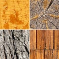 Wood tree board texture pattern set collage. Different Wooden Board Backgrounds Mix