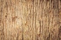 Wood Tree Texture Royalty Free Stock Photo