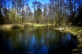 The lake in the forest.Wood. Trees. Autumn wood. Royalty Free Stock Photo