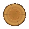 Wood trunk cut with tree rings texture Royalty Free Stock Photo