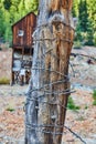 Wood trunk wrapped in metal wire with old wood mining structure in background Royalty Free Stock Photo