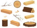 Timber wood set. Royalty Free Stock Photo