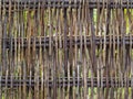 Wood twig wattle fence detail. Rustic background. Royalty Free Stock Photo