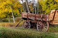 Wood wagon with Aspens Royalty Free Stock Photo