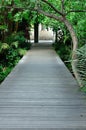 Wood Walk Way Royalty Free Stock Photo