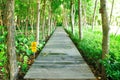 Wood Walk Way Royalty Free Stock Photo