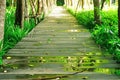 Wood Walk Way Royalty Free Stock Photo