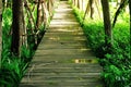 Wood Walk Way Royalty Free Stock Photo