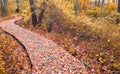 Wood Walking Pathway in fall autumn in Connecticut USA