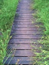 Wood walkway edged by overgrown grass