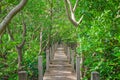 Wood walkway