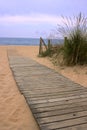 Wood walkway to the ocean Royalty Free Stock Photo