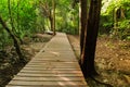 Wood walkway on a wild park Royalty Free Stock Photo