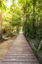 Wood walkway on a wild park to the Waterfall Huay Mae Kamin,