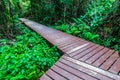 Wood walkway on a wild park to the Waterfall Huay Mae Kamin, Royalty Free Stock Photo