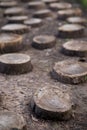 Wood walkway winding in garden Royalty Free Stock Photo