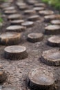 Wood walkway winding in garden Royalty Free Stock Photo