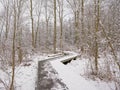 Wood walkway in the winter forest with trees and shrubs covered in snow Royalty Free Stock Photo