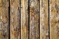 Wood wall background