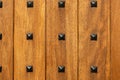 Wood wall texture. Abstract background of wooden door surface with black iron rivets, nails