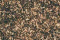 Wood waste texture. Woods backdrop. Organic timber texture background. Wood chips background.