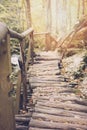 Wood way of bridge in fall forest Royalty Free Stock Photo