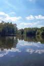 Wood and white clouds in the blue sky reflected in the mirrored water Royalty Free Stock Photo