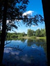 Wood and white clouds in the blue sky reflected in the mirrored water Royalty Free Stock Photo