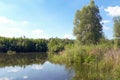 Wood and white clouds in the blue sky reflected in the mirrored water Royalty Free Stock Photo