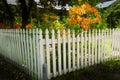 New Zealand Arrowtown cityscape wood fence and flowers