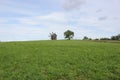 Wood wildmill in the middle field