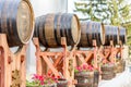 Wood wine barrels Royalty Free Stock Photo