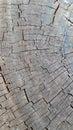 Wood wooden stump rings tree cracked crackled wrinkled old weathered plank