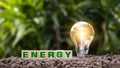 Woodblock labeled Energy on the ground and energy-saving light bulbs that illuminate green energy