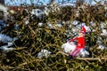 Woodbridge Suffolk UK February 11 2021: A naughty Christmas elf sitting on a snowy tree branch enjoying the winter sunshine.