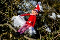 Woodbridge Suffolk UK February 11 2021: A naughty Christmas elf sitting on a snowy tree branch enjoying the winter sunshine.