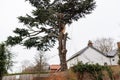 Woodbridge Suffolk UK February 19 2022: Tree surgeons carrying out emergency work after a extreme storm caused damage to a large