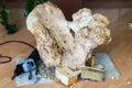 Woodcarving, natural stump, precious wood, art object for decorating house. Concept of handmade, professionalism and