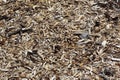 Woodchip background Royalty Free Stock Photo