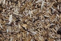 Woodchip background Royalty Free Stock Photo