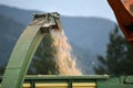 Spout directs woodchip into the bin Royalty Free Stock Photo