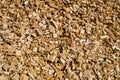 Woodchip solid fuel for Biomass plant from forest waste