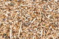 Woodchips after harvesting and shredding trees