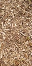 Woodchips and leaves on ground