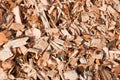 Woodchips from trees