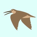 Woodcock in flight , vector illustration , flat