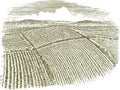 Woodcut Aerial of Field Royalty Free Stock Photo