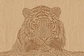 Woodcut design of a tiger head Royalty Free Stock Photo