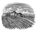 Woodcut Vintage Italian Vineyard