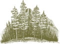 Woodcut Wilderness